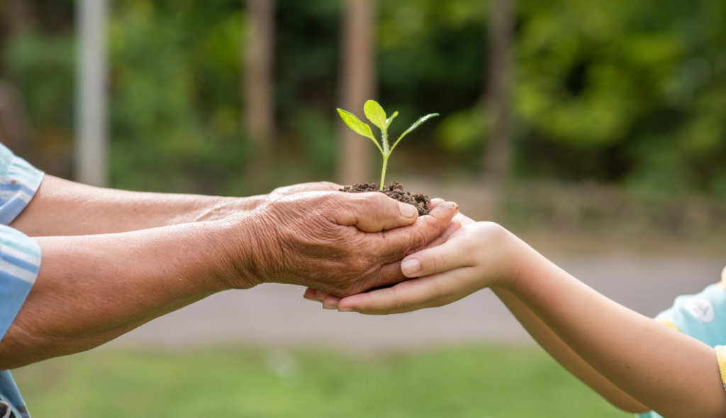 pavimentação e sustentabilidade