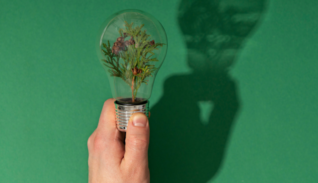 sustentabilidade estratégia