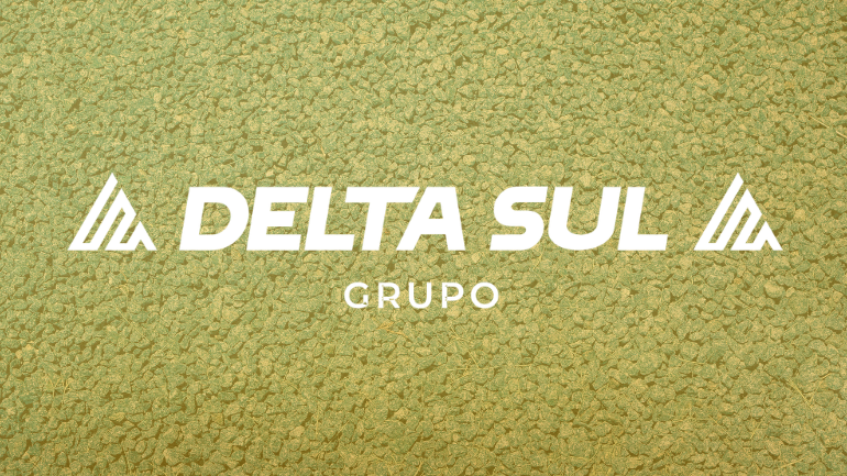 grupo delta sul